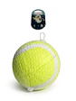 Pelota de tennis para perro, juguete - Miniatura 2
