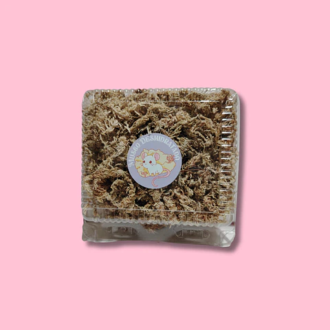 Musgo Sphagnum