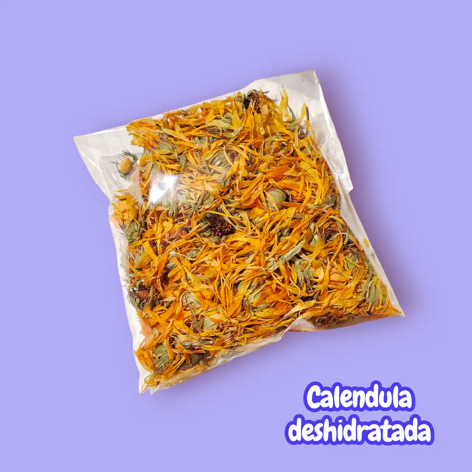 Calendula 1