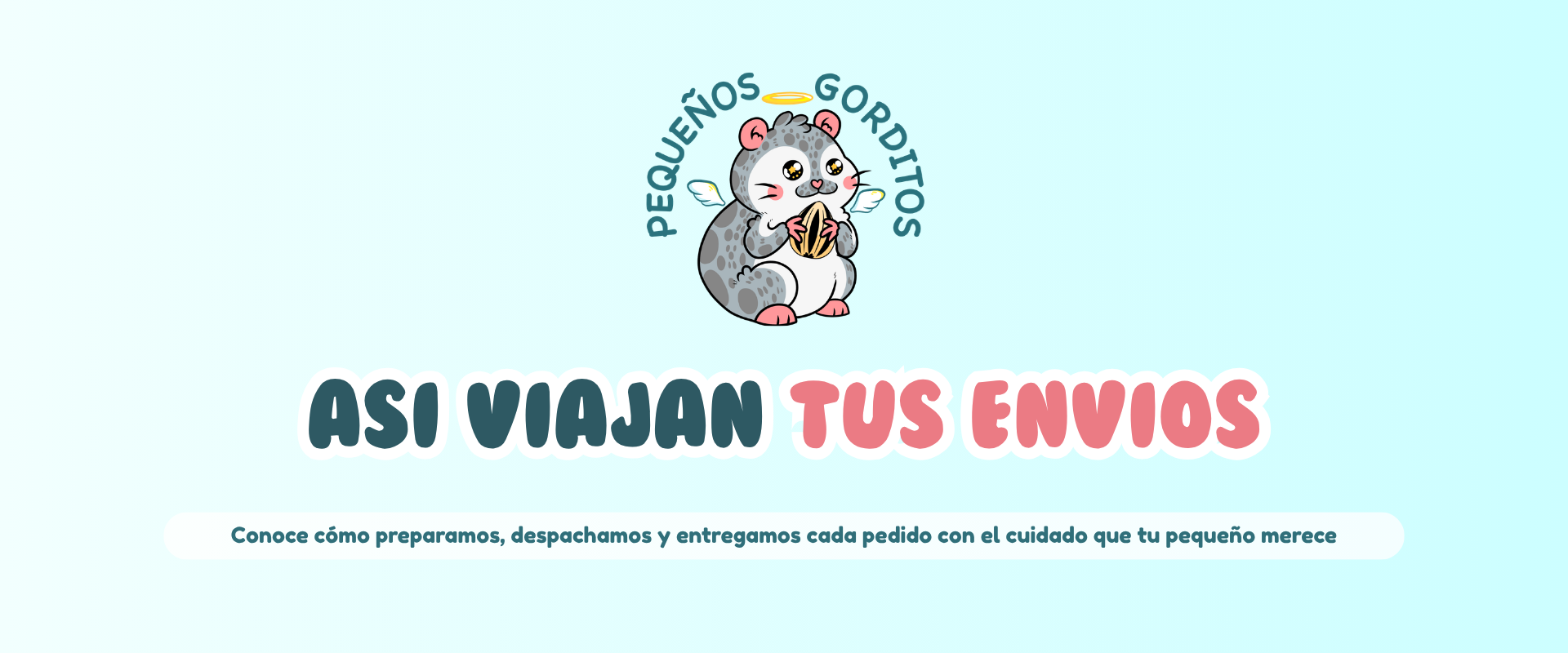 Así viajan tus envíos...