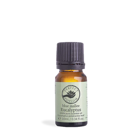 Aceite esencial puro de eucalipto B.Mallee 10 ml