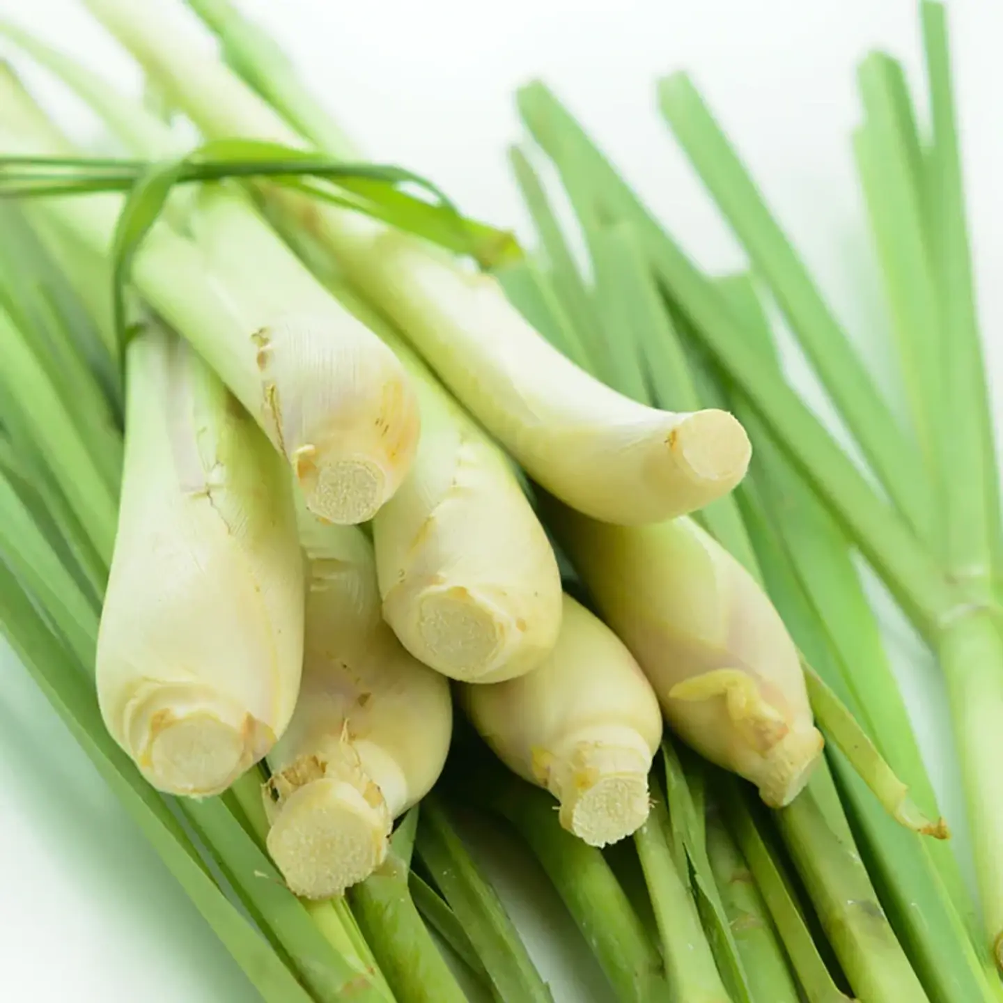 Aceite esencial puro de Lemongrass 10 ml 2