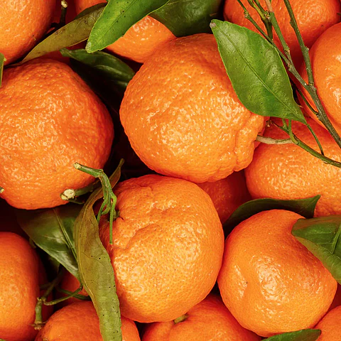 Aceite esencial puro de mandarina 10 ml