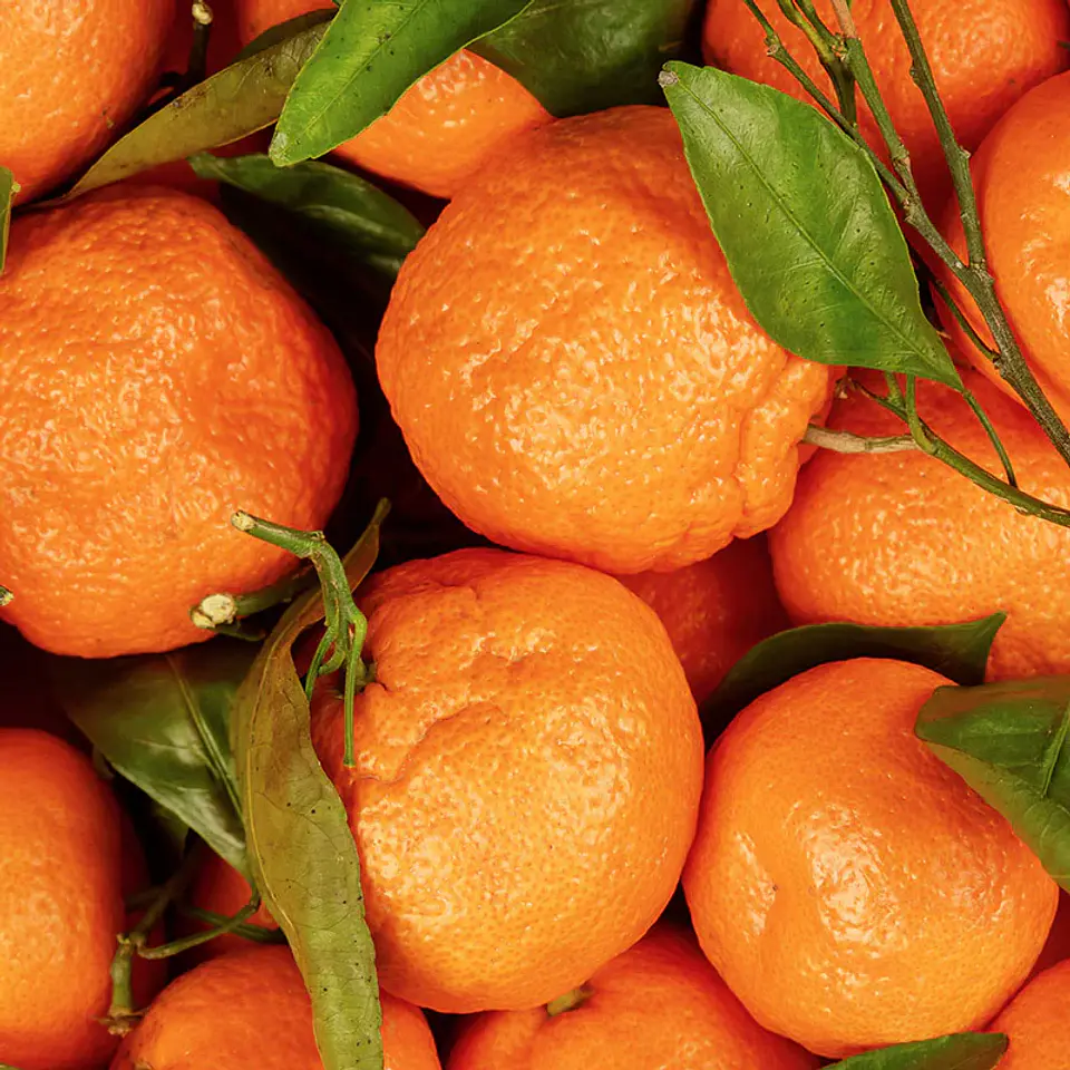 Aceite esencial puro de mandarina 10 ml 2