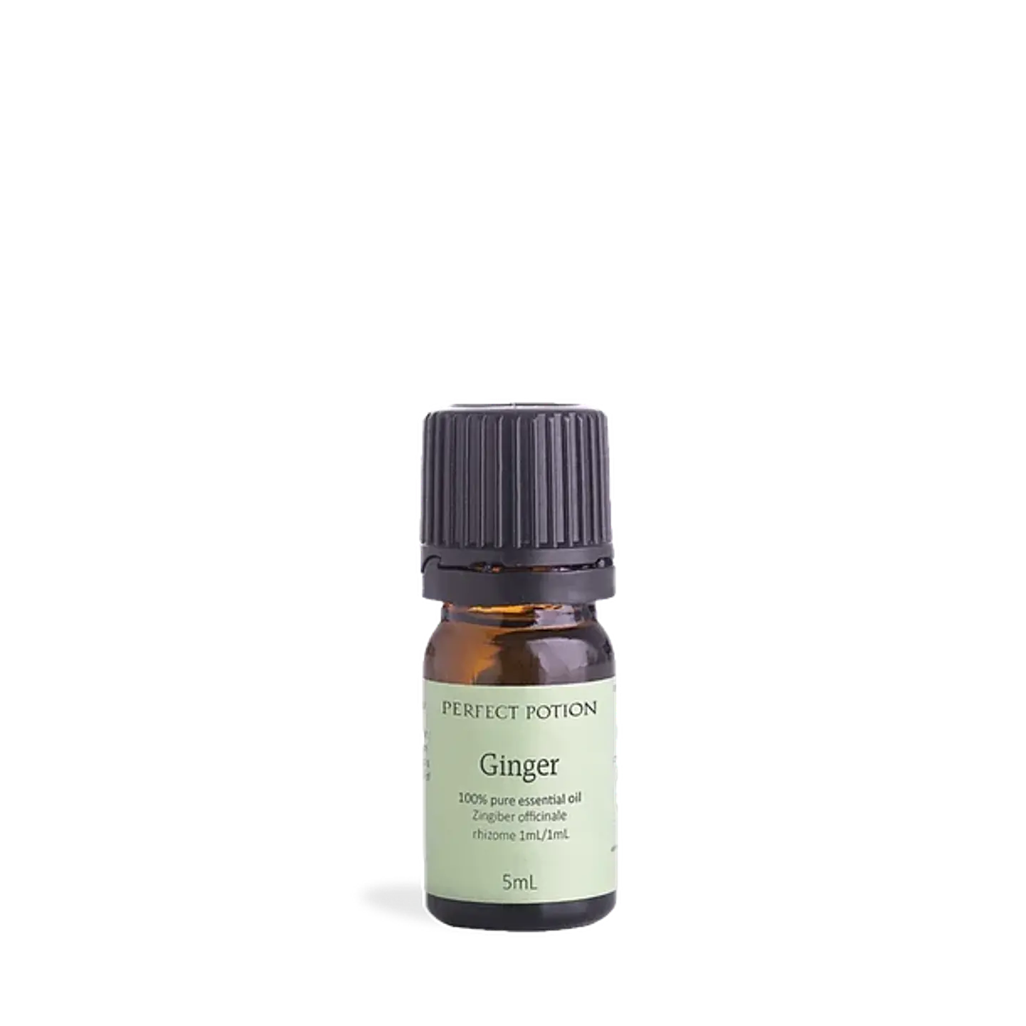 Aceite esencial puro de jengibre 5 ml 1