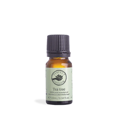 Aceite esencial de árbol de té 10 ml