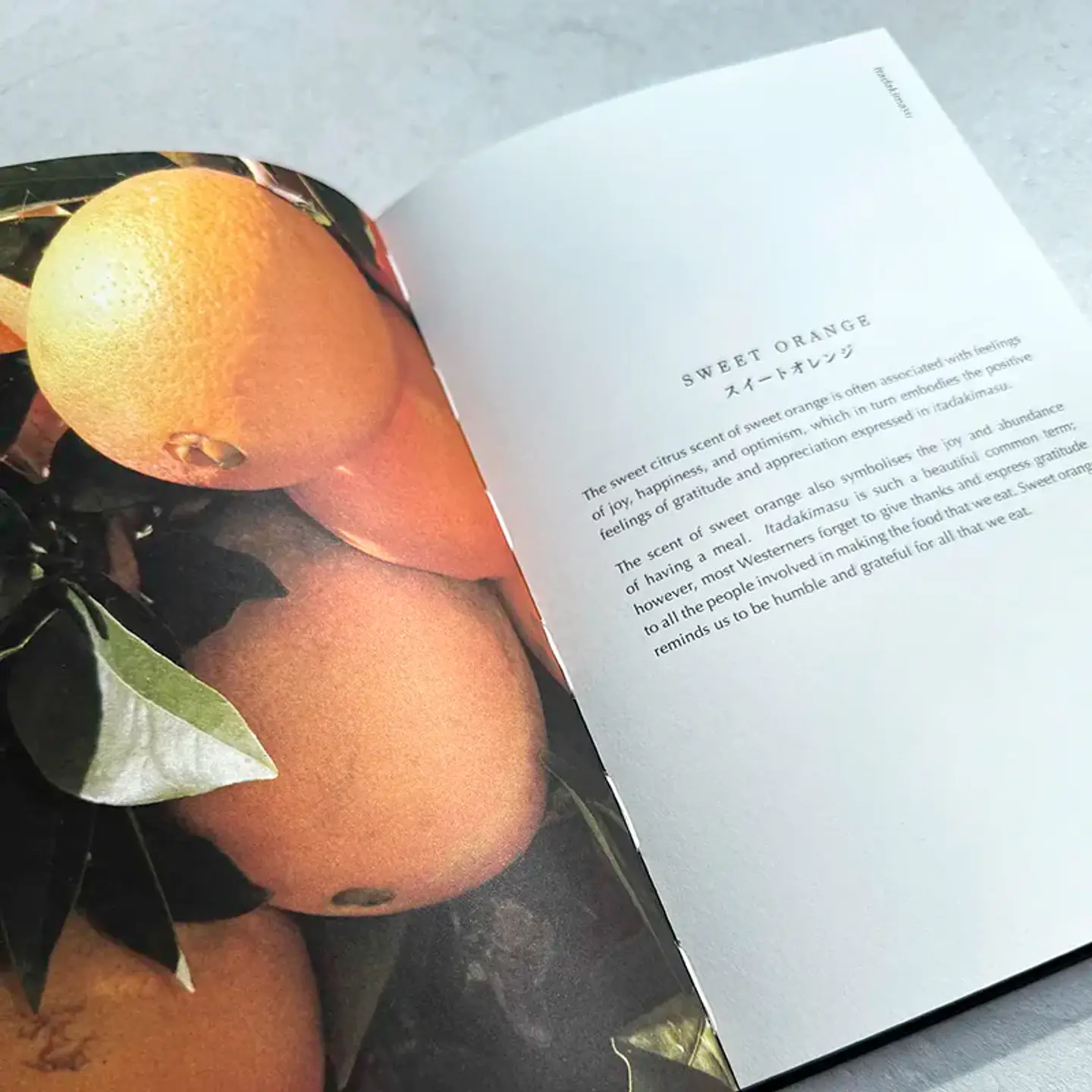 Kotodama of Scent by Salvatore Battaglia 5
