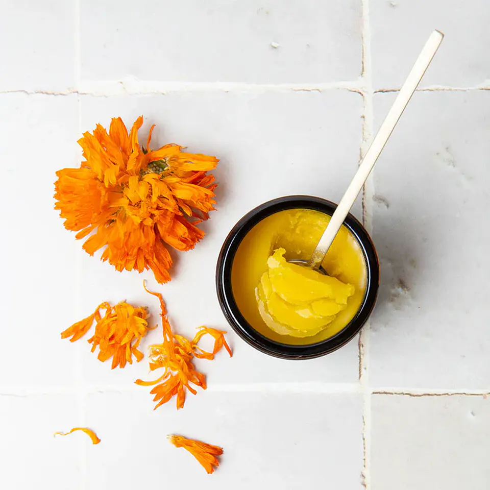 DIY Pure Plant Skin Care By Carolyn Stubbin 2