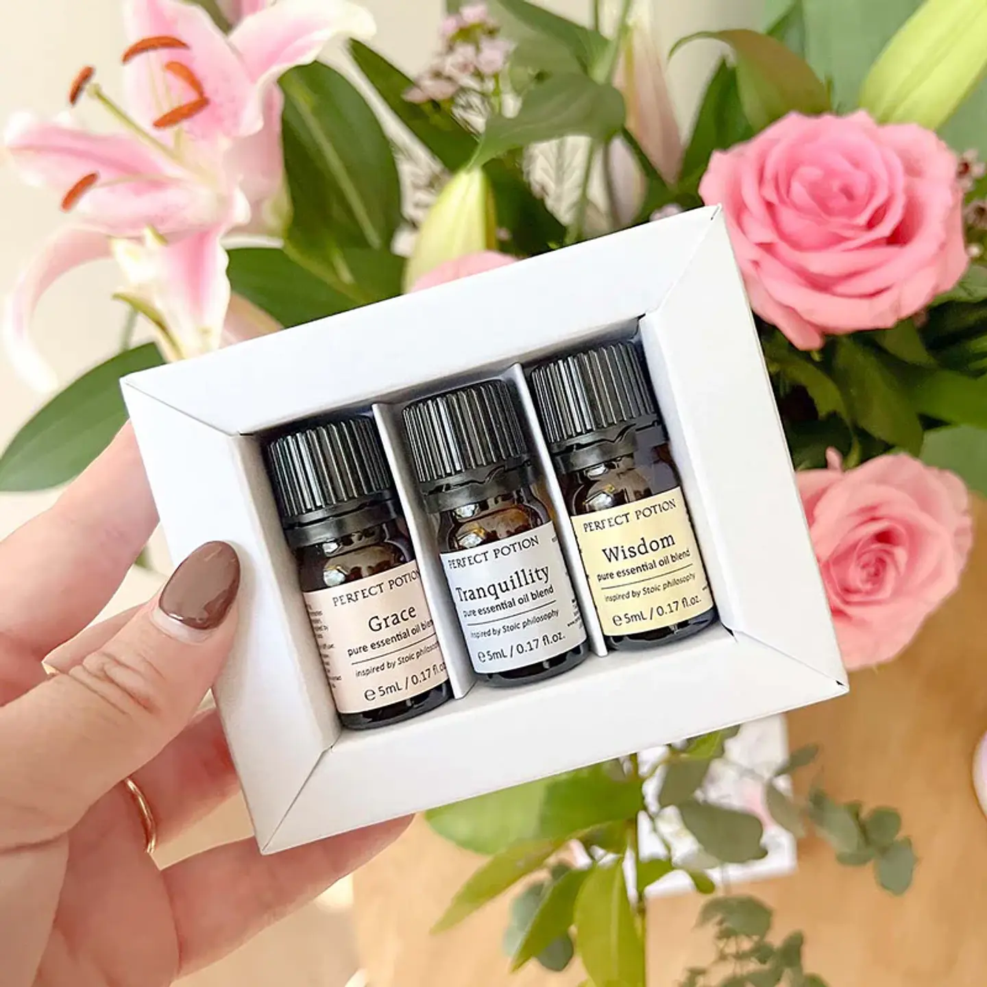 Kit Stoic Collection  2