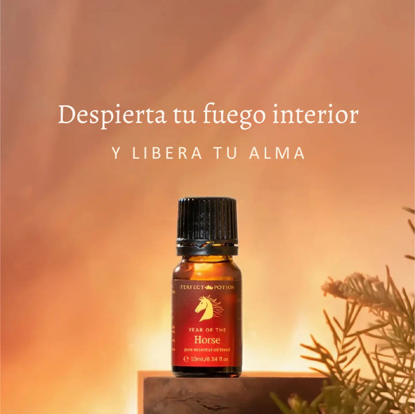 Mezcla de aceites esenciales Año del Caballo 10 ml  2