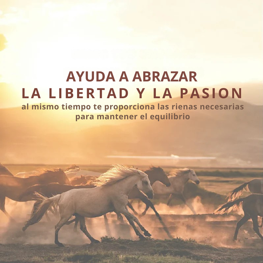 Mezcla de aceites esenciales Año del Caballo 10 ml  PREVENTA 4