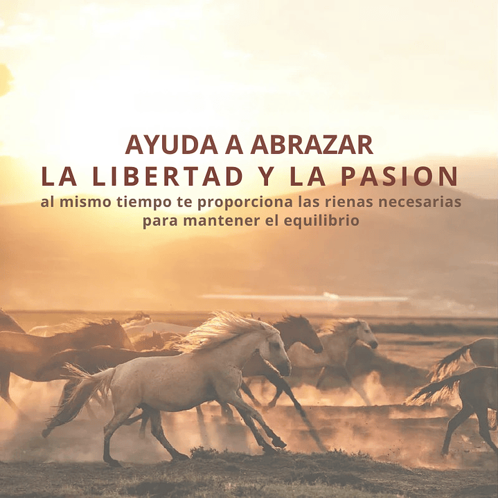 Mezcla de aceites esenciales Año del Caballo 10 ml  PREVENTA 4