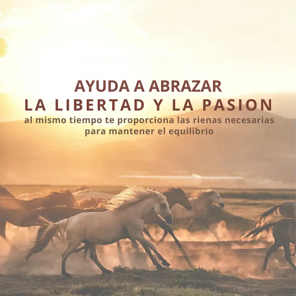 Mezcla de aceites esenciales Año del Caballo 10 ml  4