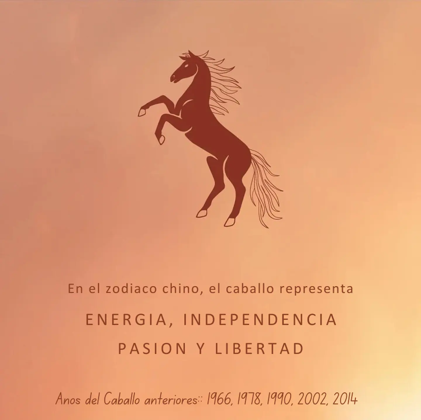 Mezcla de aceites esenciales Año del Caballo 10 ml  5