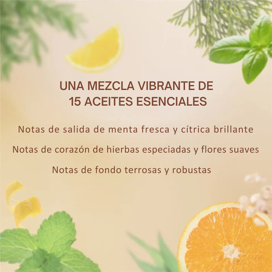 Mezcla de aceites esenciales Año del Caballo 10 ml  PREVENTA 6