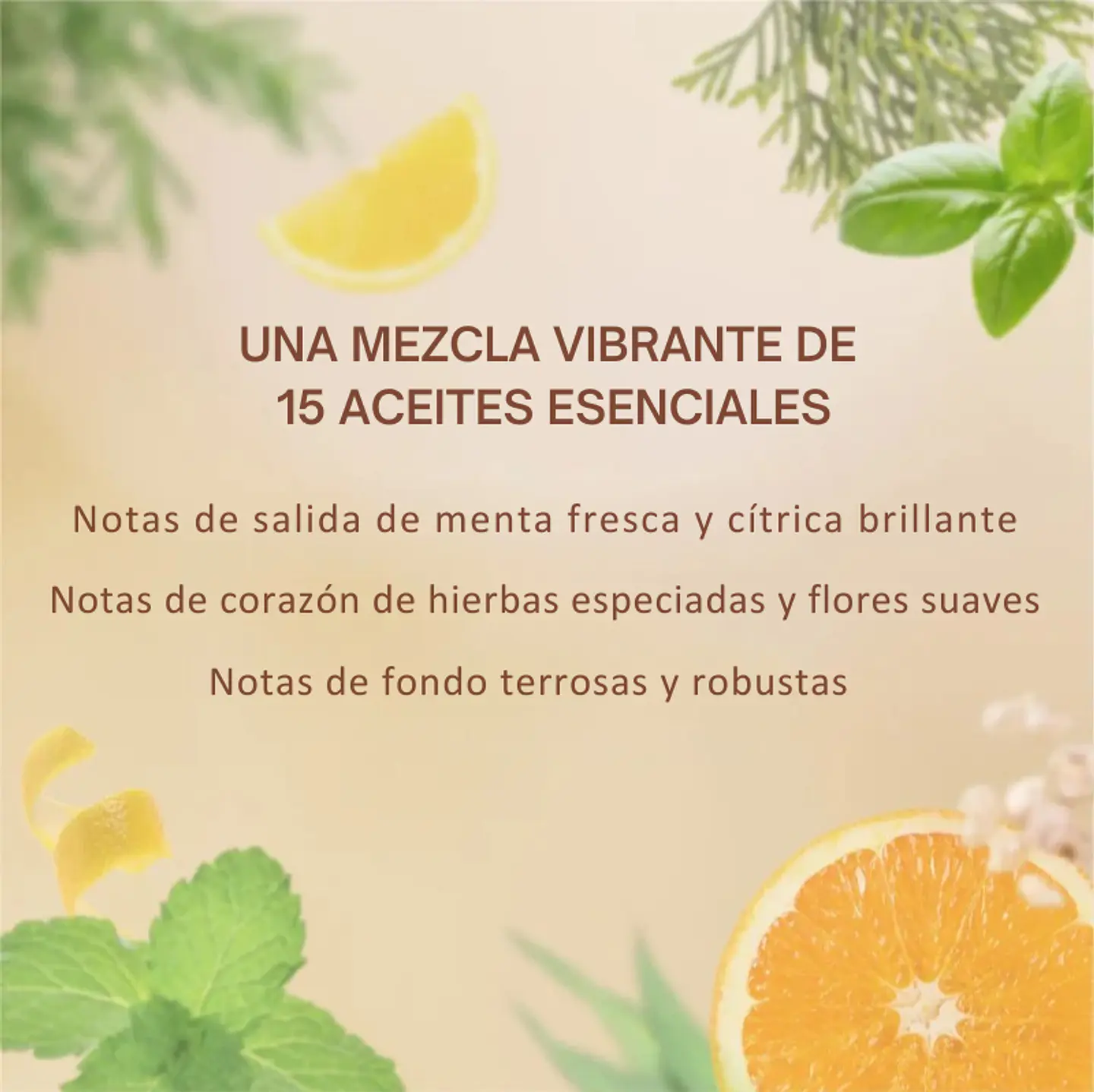 Mezcla de aceites esenciales Año del Caballo 10 ml  6