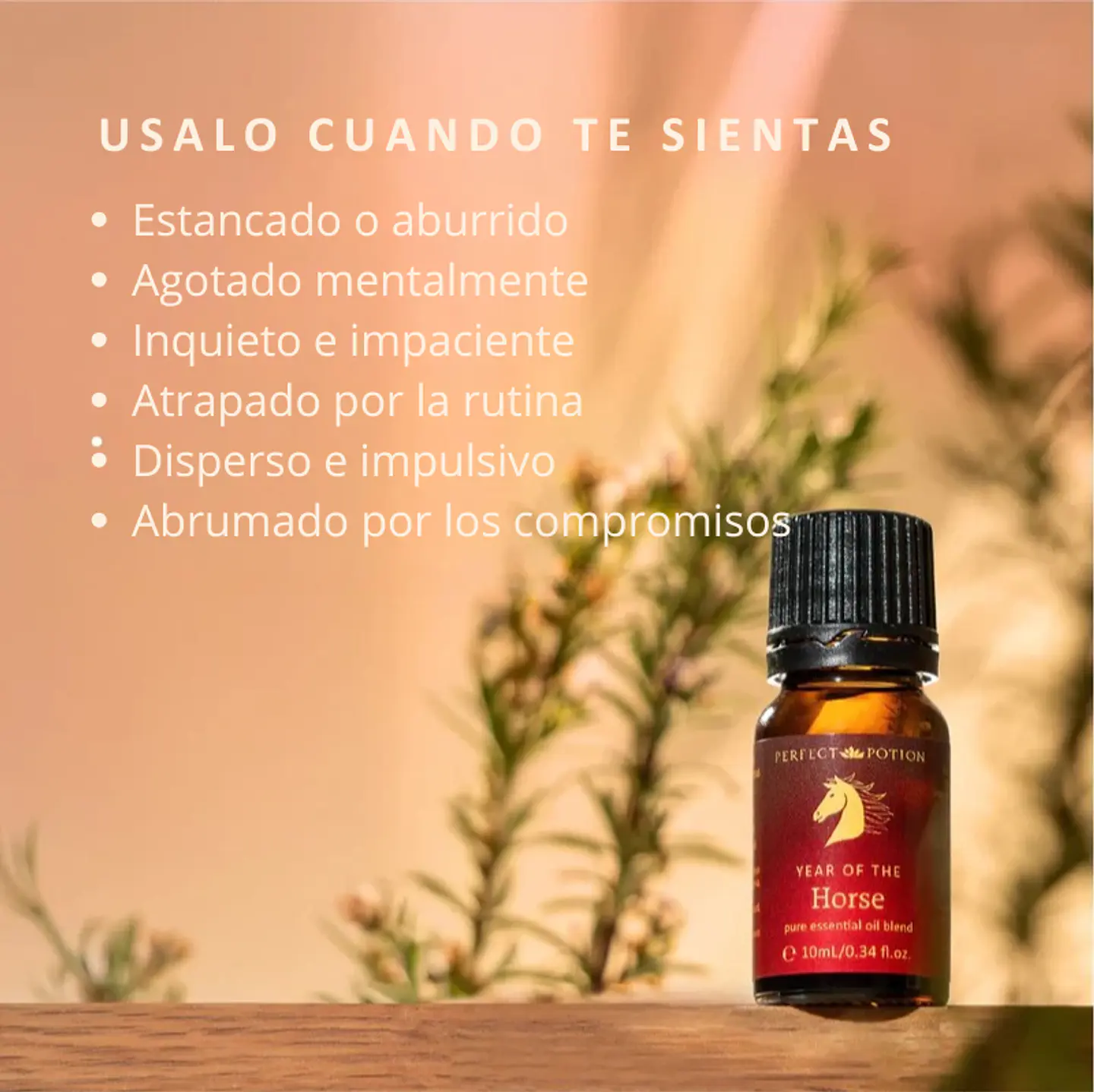 Mezcla de aceites esenciales Año del Caballo 10 ml  7