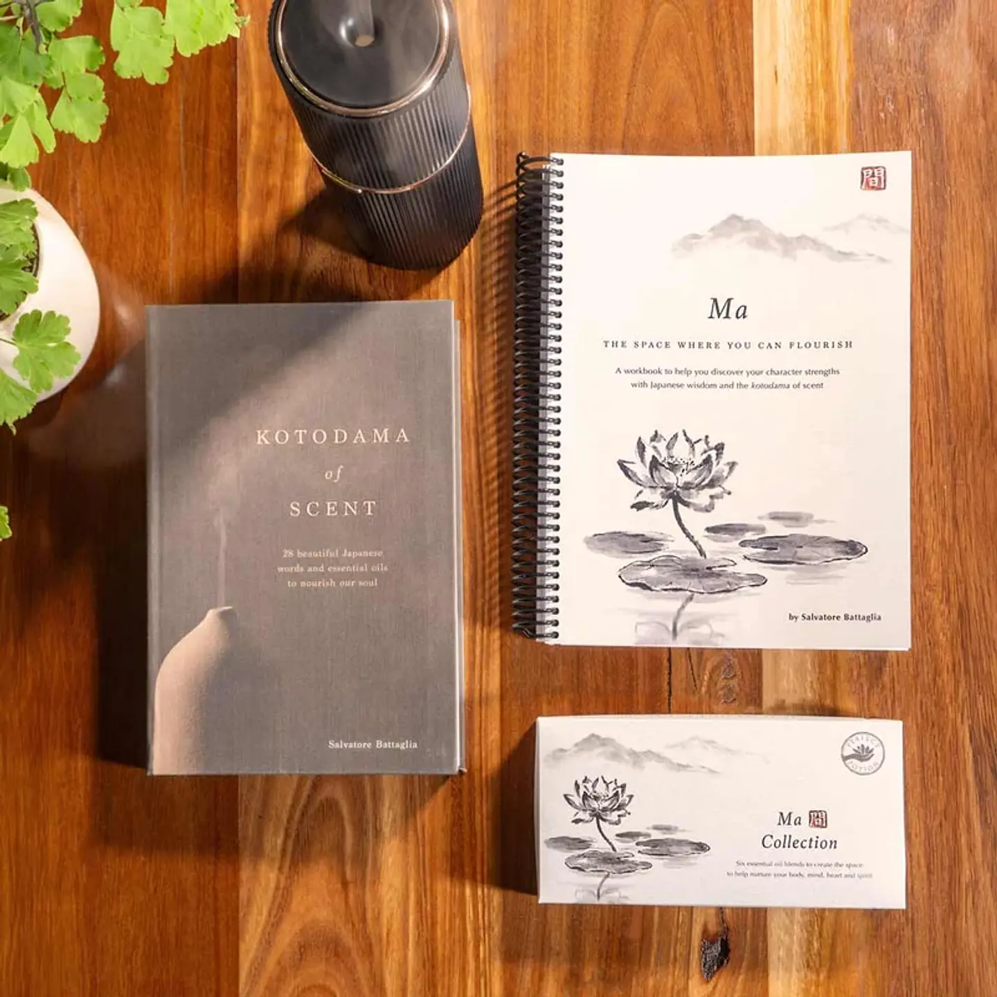 MA TRIO KIT 1