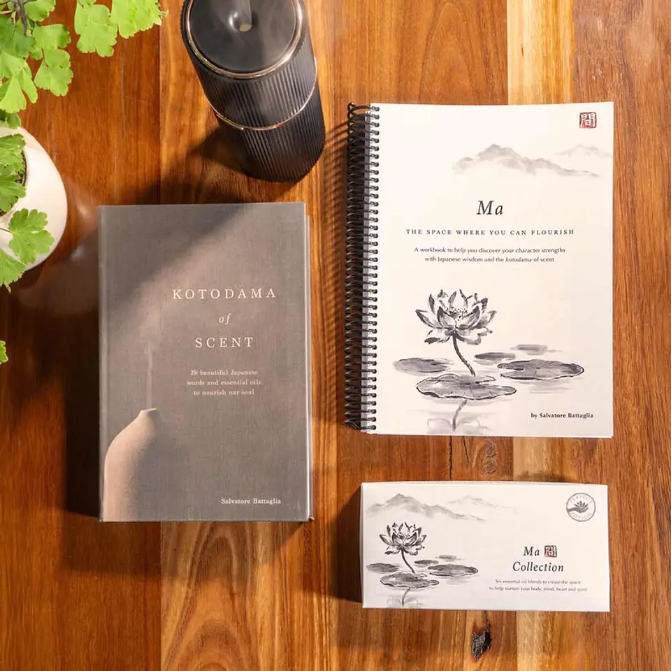 MA TRIO KIT 1