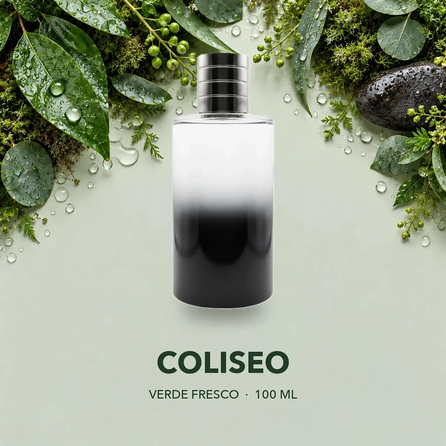Coliseo · inspirado en Born in Roma Uomo 1
