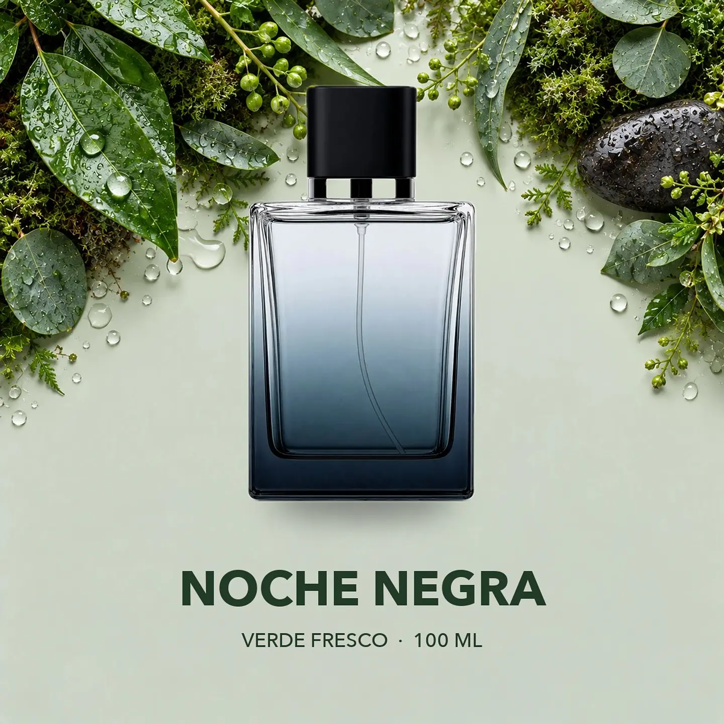 Noche Negra · Amaderado 1