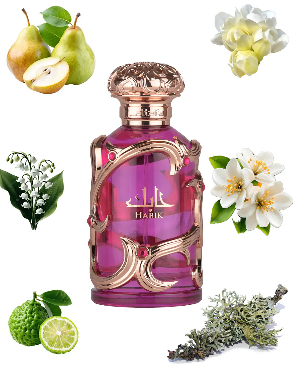 Lattafa Habik 2