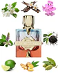 Aromatix x French Avenue Teas Me - Thumbnail 1