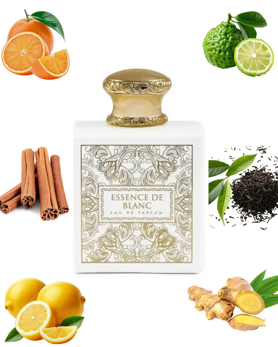 Fragrance World Essence de Blanc  1