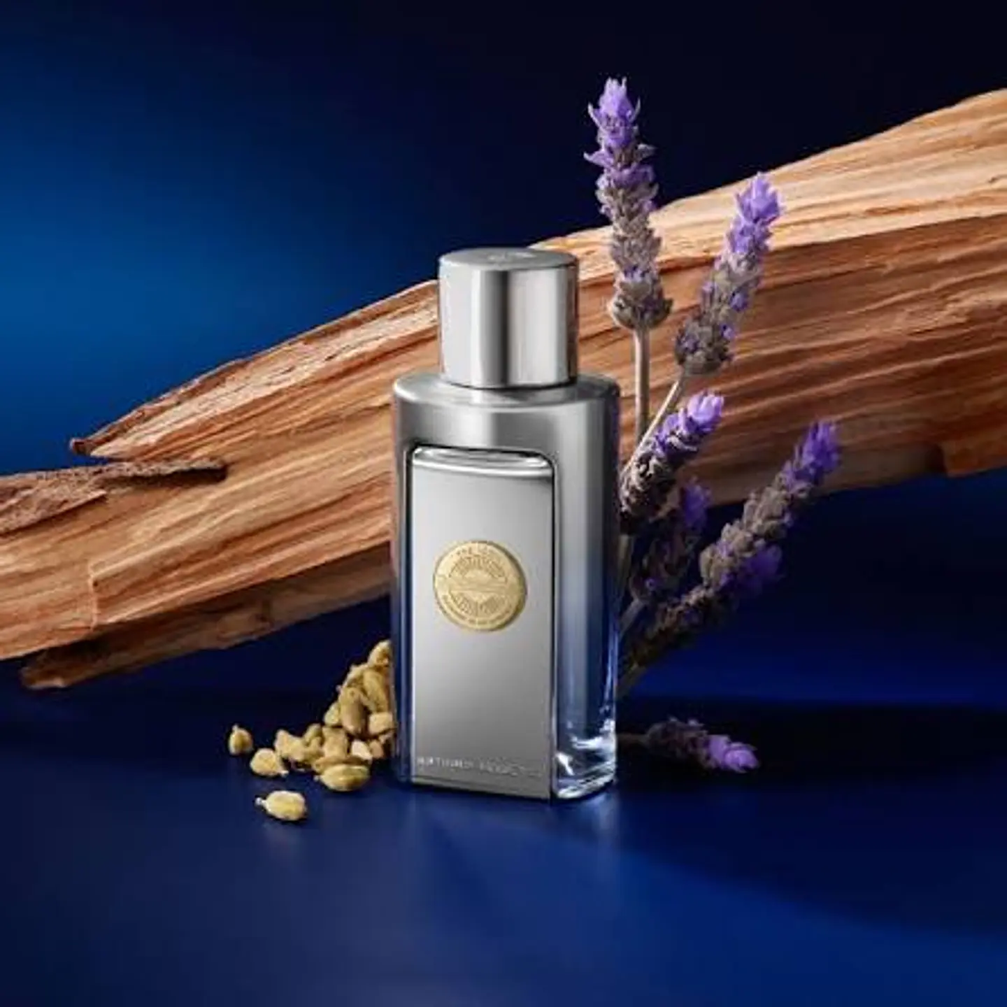 ANTONIO BANDERAS  THE ICON ELÍXIR EDP 100 ML 2