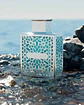RAYHAAN AQUATICA EDP 100 ML UNISEX - Miniatura 3