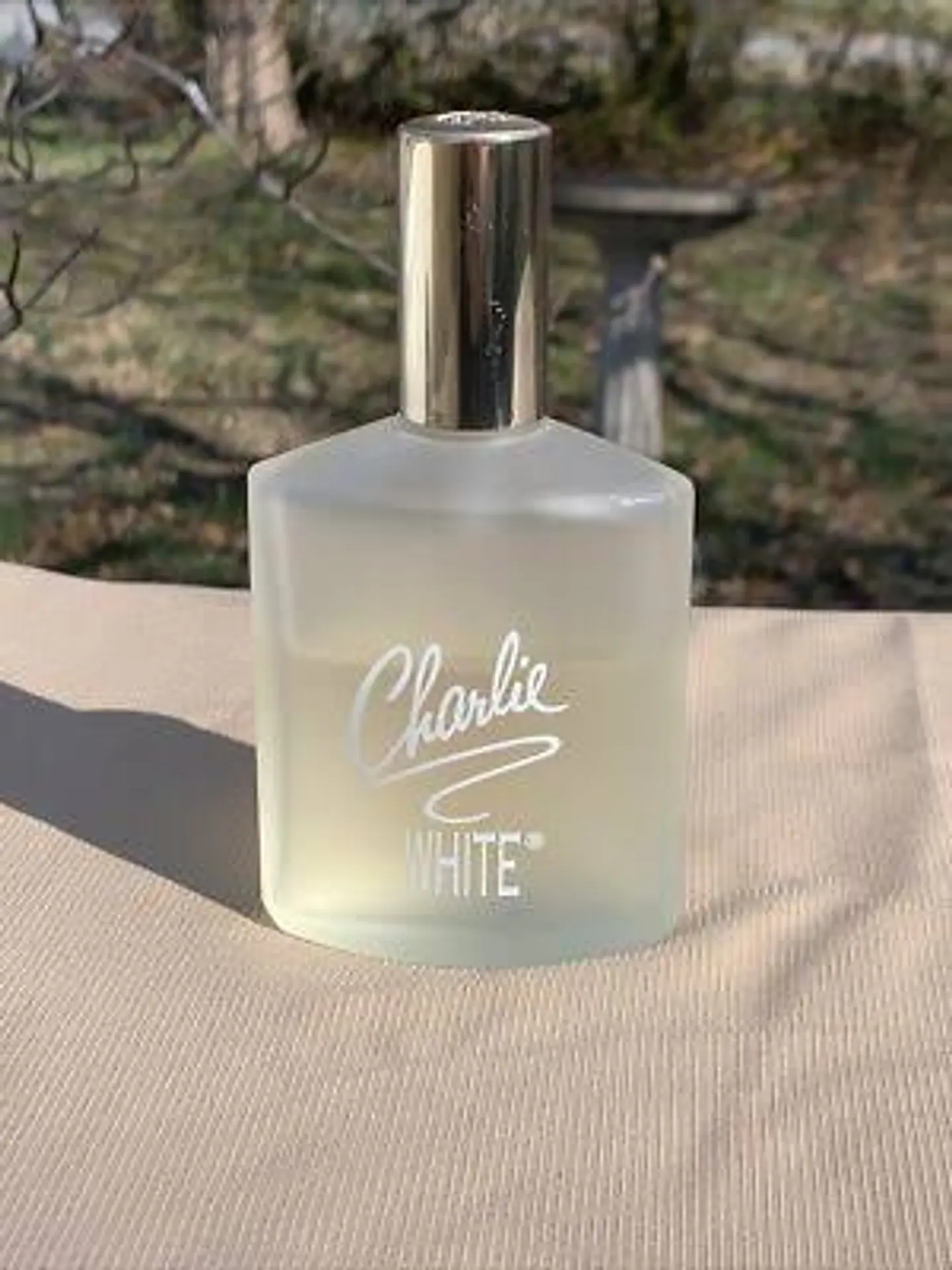 REVLON  CHARLIE WHITE EDT 1OOML 2