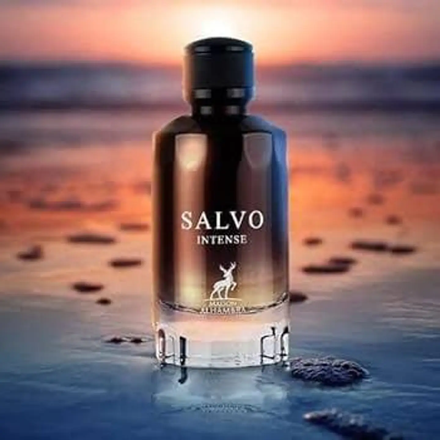MAISON ALHAMBRA  SALVO INTENSE 100 ML 3