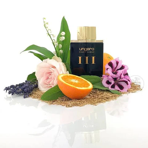 EMANUEL HUNGARO UNGARO III POUR HOMME EDT 100 ML