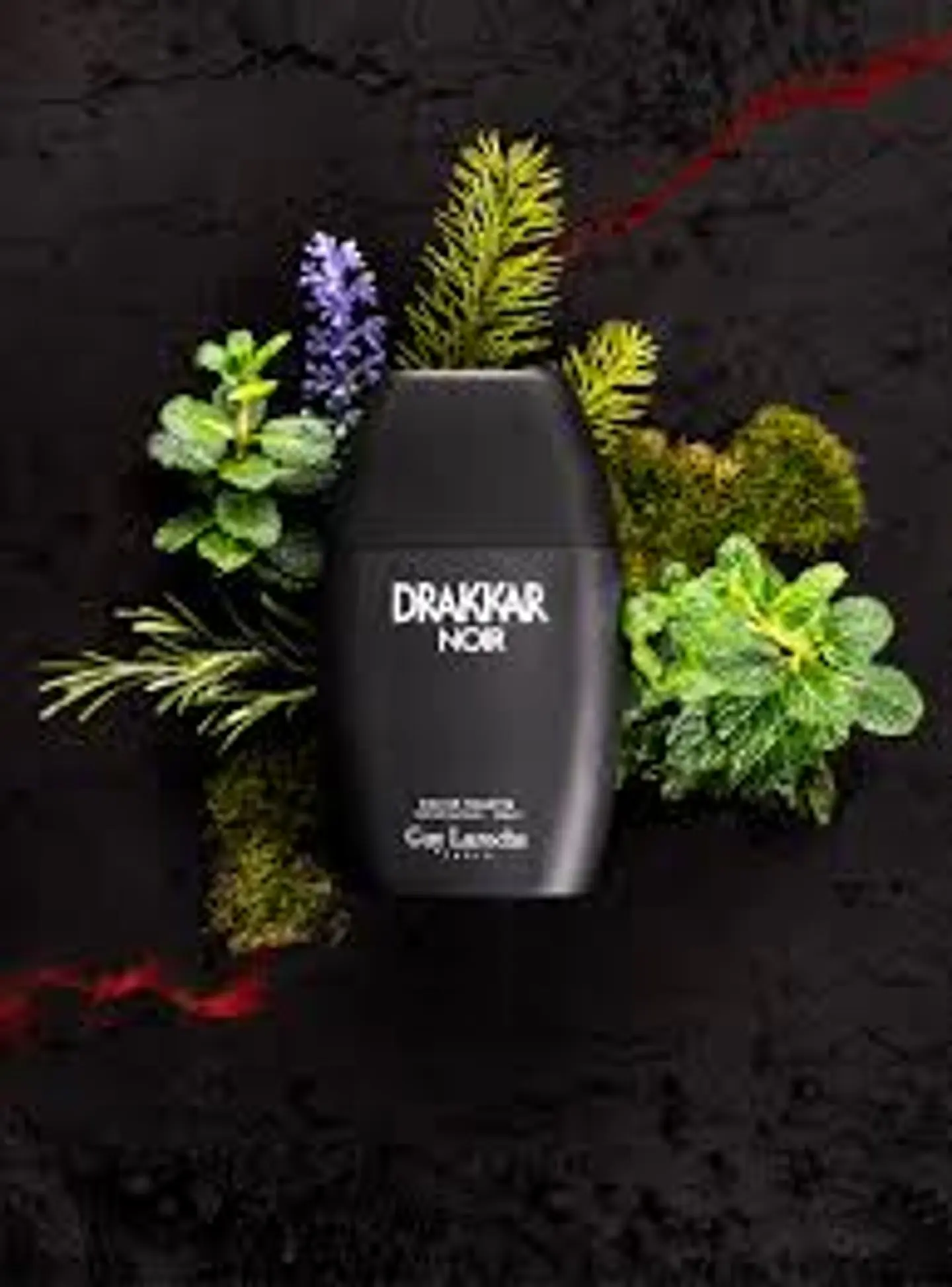GUY LAROCHE  DRAKAR NOIR EDT 100 ML 2