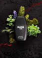 GUY LAROCHE  DRAKAR NOIR EDT 100 ML - Miniatura 2