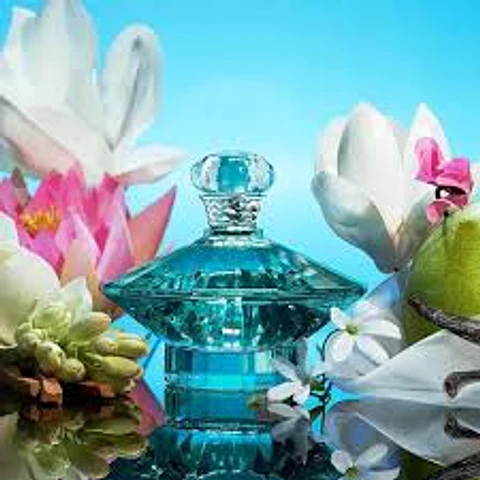 BRITNEY SPEARS CURIOUS EDP 100 ML