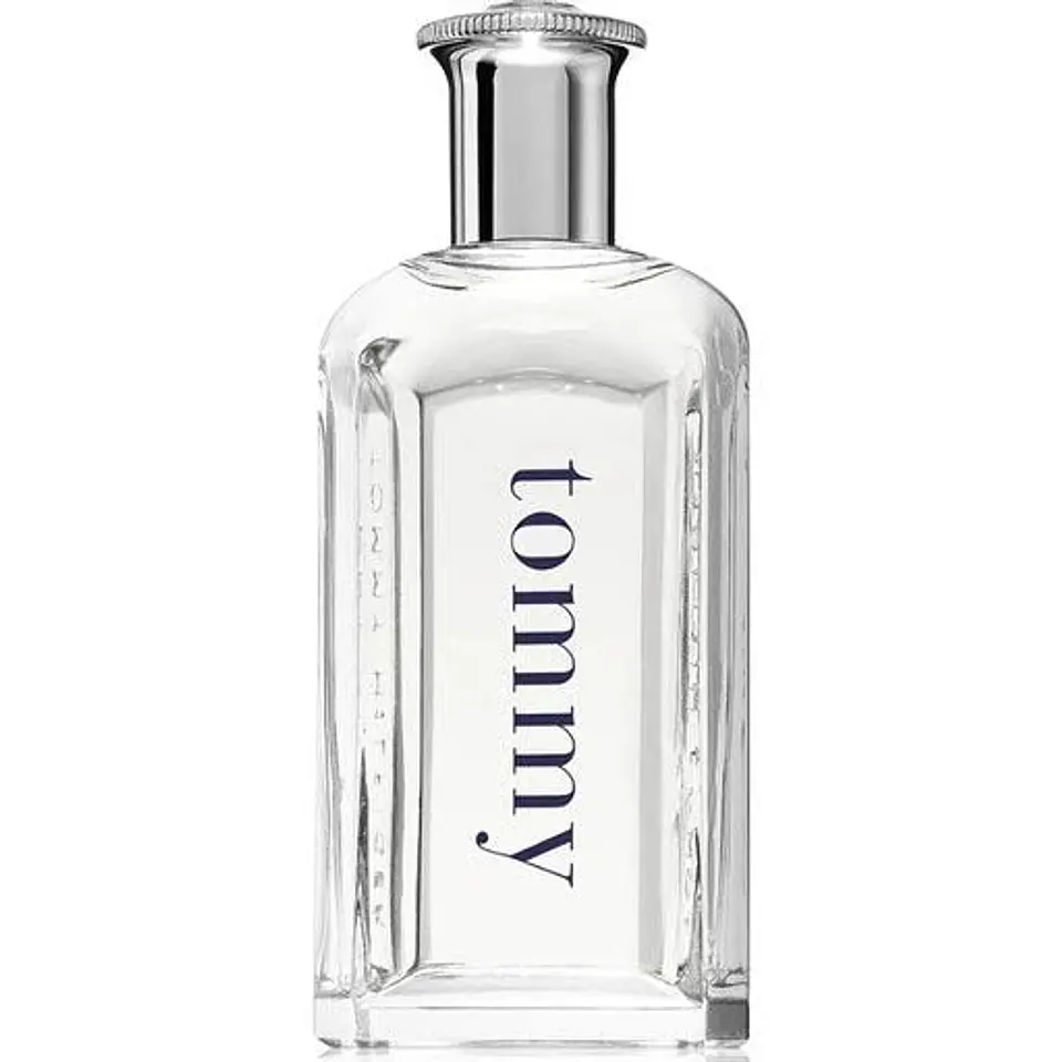 TOMMY HILFILGER  TOMMY HOMBRE EDT 100 ML 2