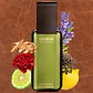 QUORUM EAU DE TOILETTE 1OOML - Miniatura 2