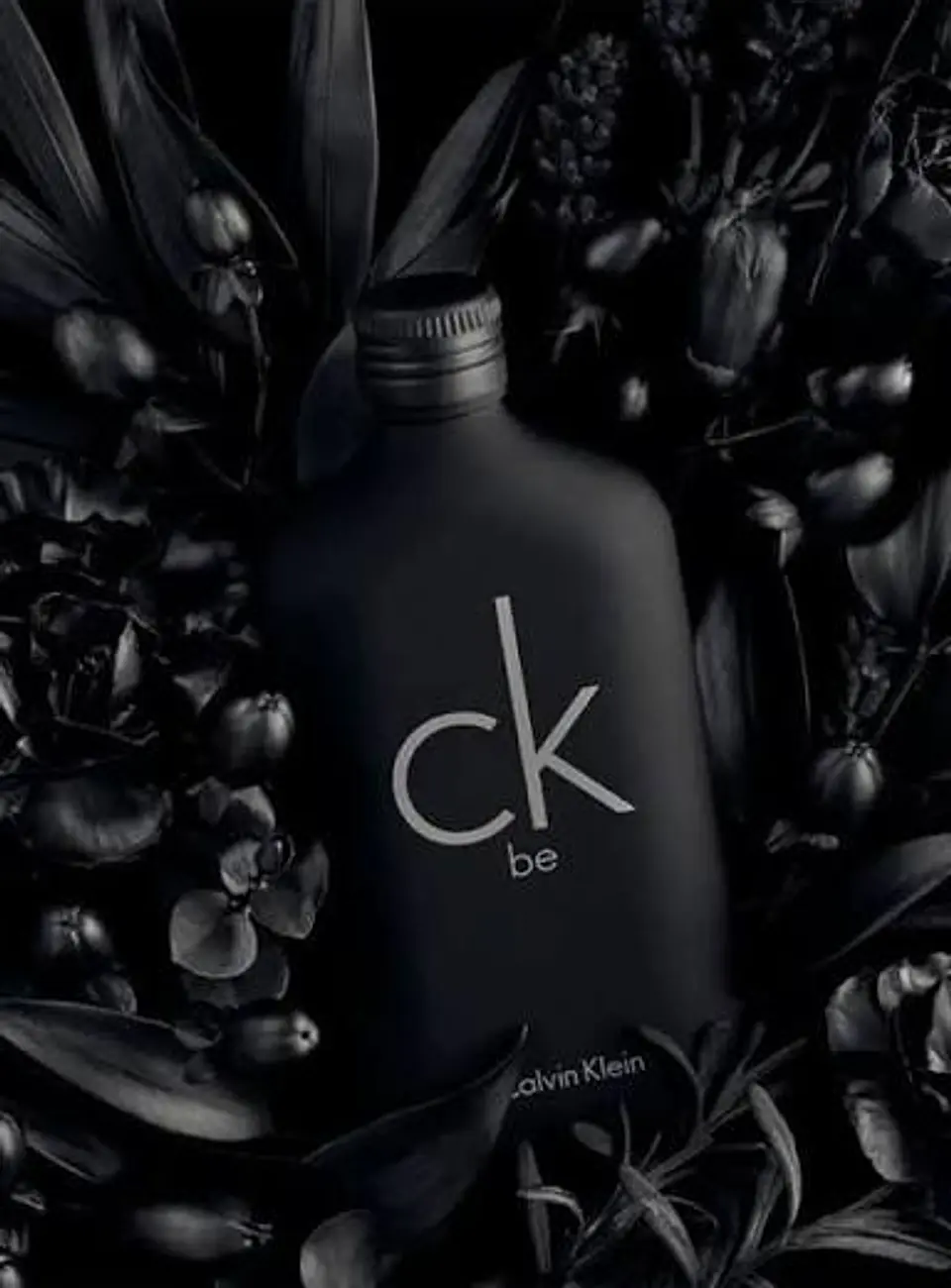 CALVIN KLEIN CK BE EDT 100 ML UNISEX 2