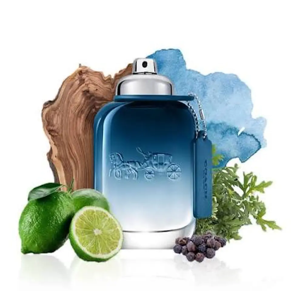 COACH BLUE EDT 100 ML 2