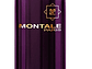 Montale Intense Café 100ml Eau De Parfum - Miniatura 1