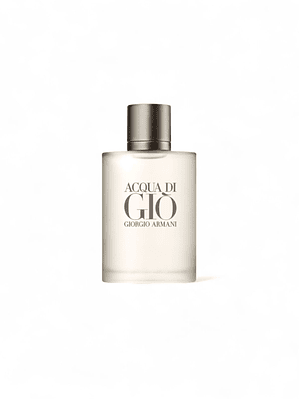 Giorgio Armani acqua di gio edt tester 100 ml