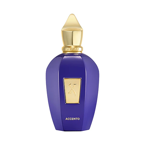 Xerjoff Accento 100ml Unisex