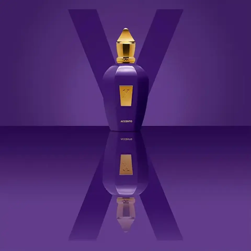 Xerjoff Accento 100ml Unisex 5