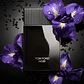 Tom Ford Noir Edp 100ml Hombre - Miniatura 4