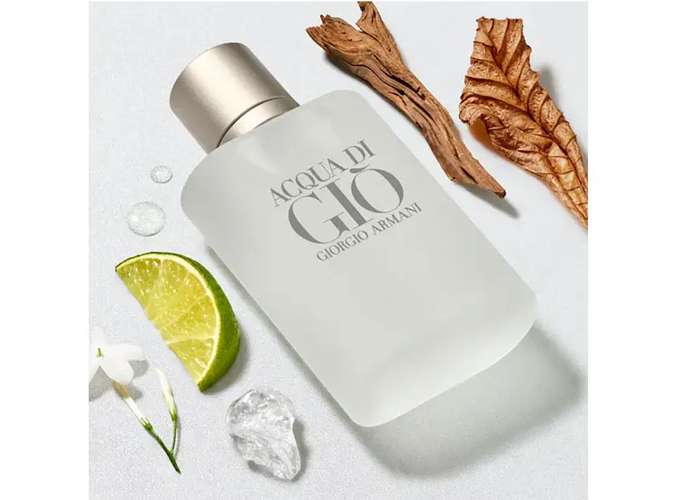 Giorgio Armani Acqua Di Gio Edt 100ml Hombre Refill 3