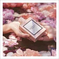 Gucci Bloom Edp 100ml Mujer - Miniatura 3