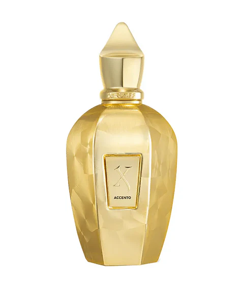 Xerjoff AcCento Overdose Edp 100ml Hombre