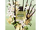 Valentino Born in Roma Green Stravaganza Donna 100ml Mujer - Miniatura 3