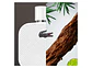 Lacoste L1212 Blanc 175ml Hombre - Miniatura 6